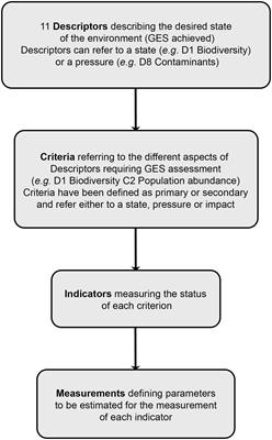 Toward a common approach for assessing the conservation status of marine turtle species within the european marine strategy framework directive